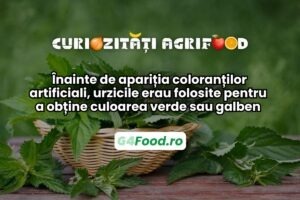Urzica era folosită pentru pigmenți, înainte de apariția coloranților artificiali