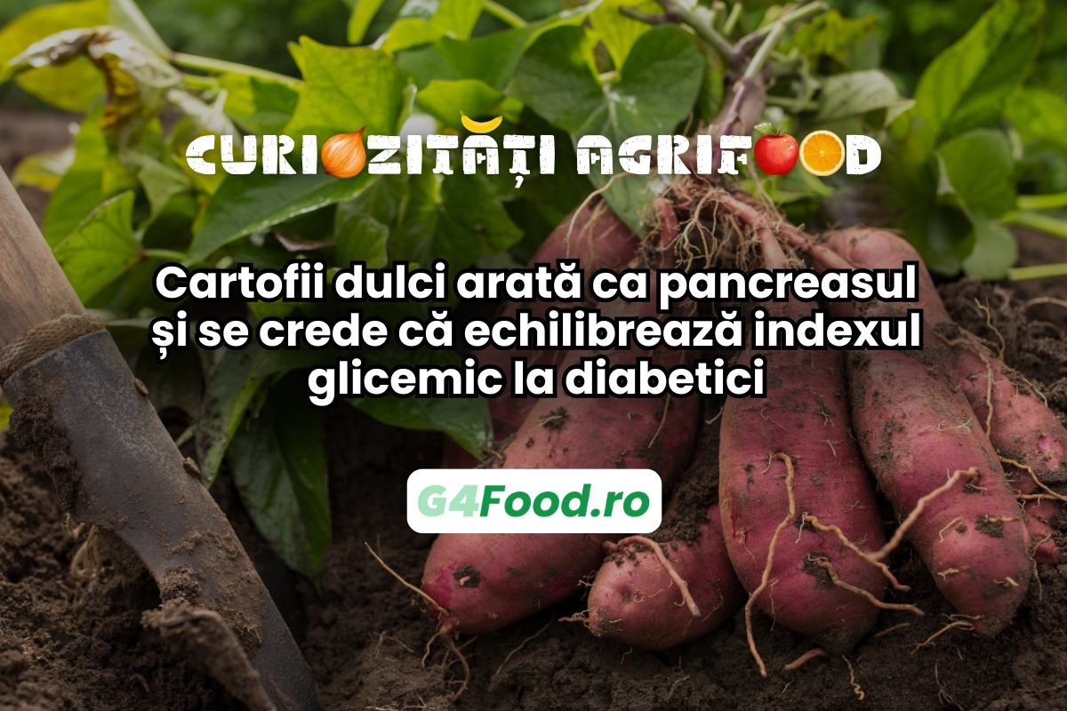 Cartofii dulci arată ca și pancreasul