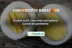 Ouăle sunt o sursă de proteine completă