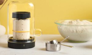 Goldie kit pentru maia paine cu maia