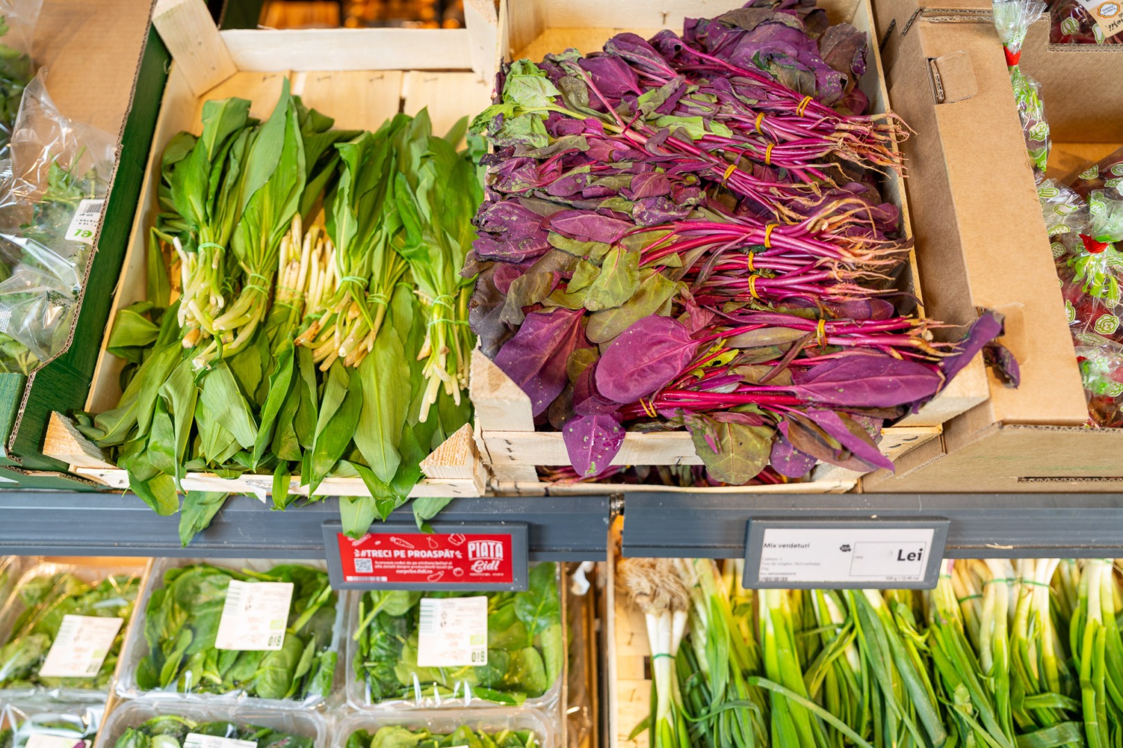 Sursa foto: Lidl România