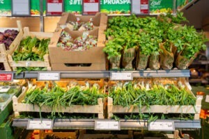 preferinte noi de-consum food retail Lidl Romania produse locale sustenabile refrigerate adaptate nevoilor proprii