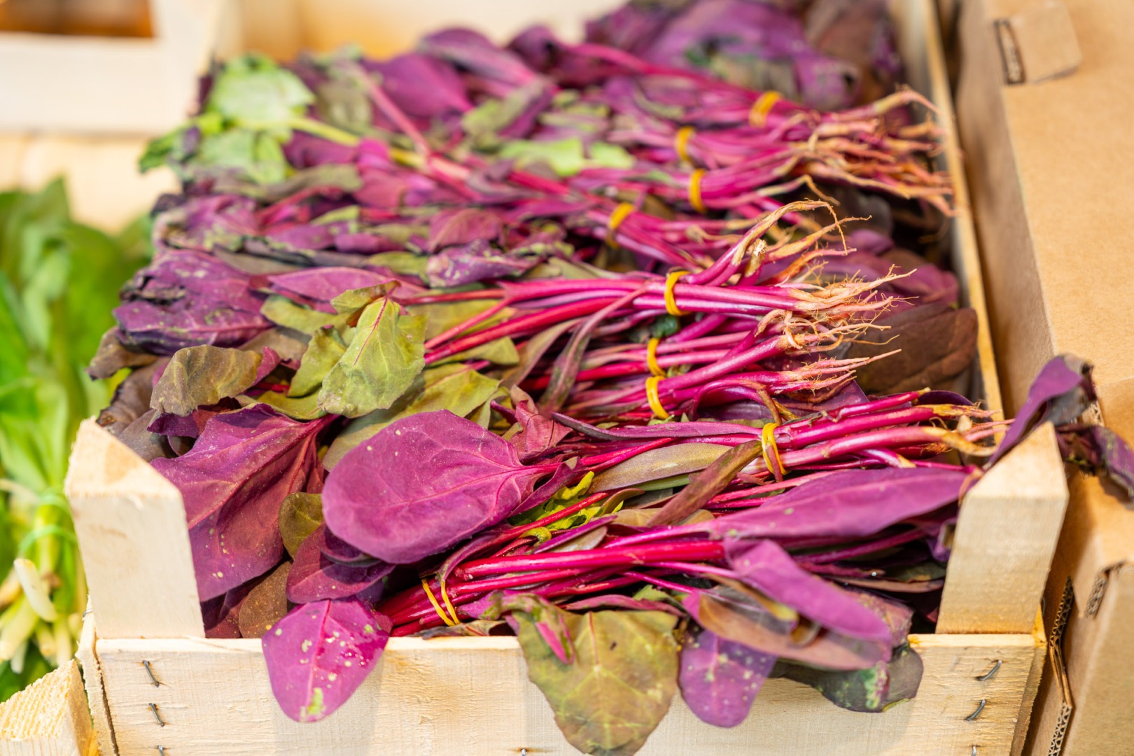 Sursa foto: Lidl România