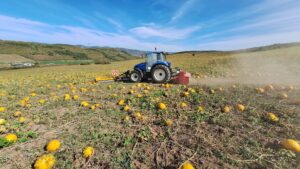 randamentele agricole vor fi influentate de schimbarile climatice