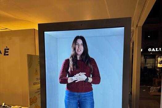 Azzurra avatar dieta mediteraneana