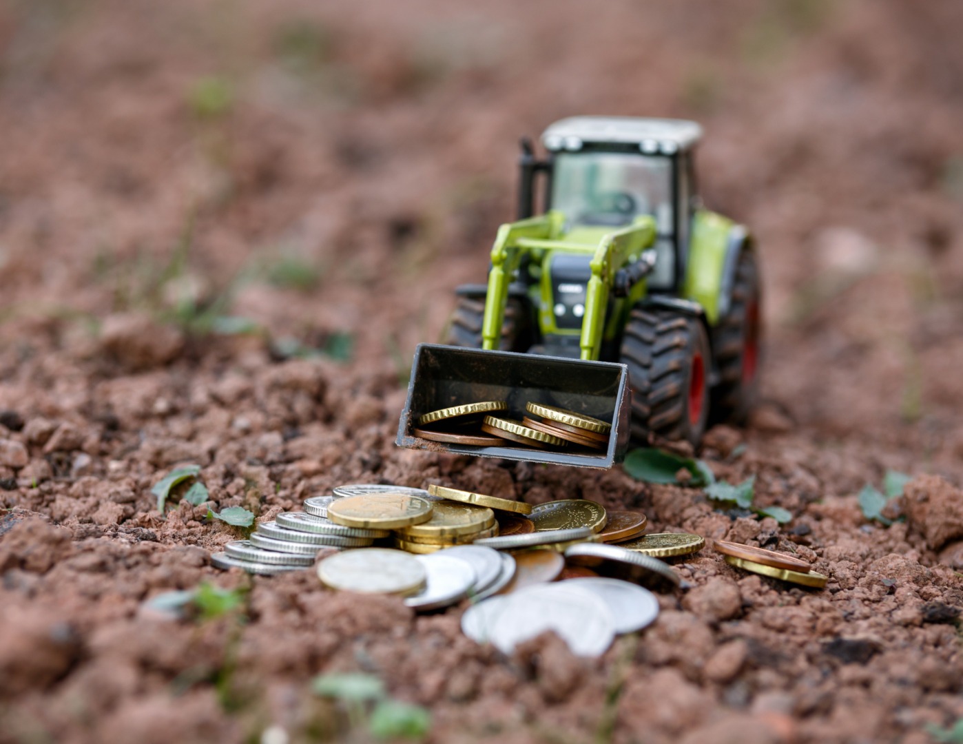 Micii fermieri ar putea fi obligați să se fiscalizeze