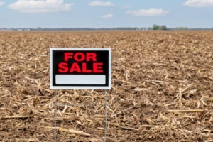 O companie din agribusiness a intrat în faliment