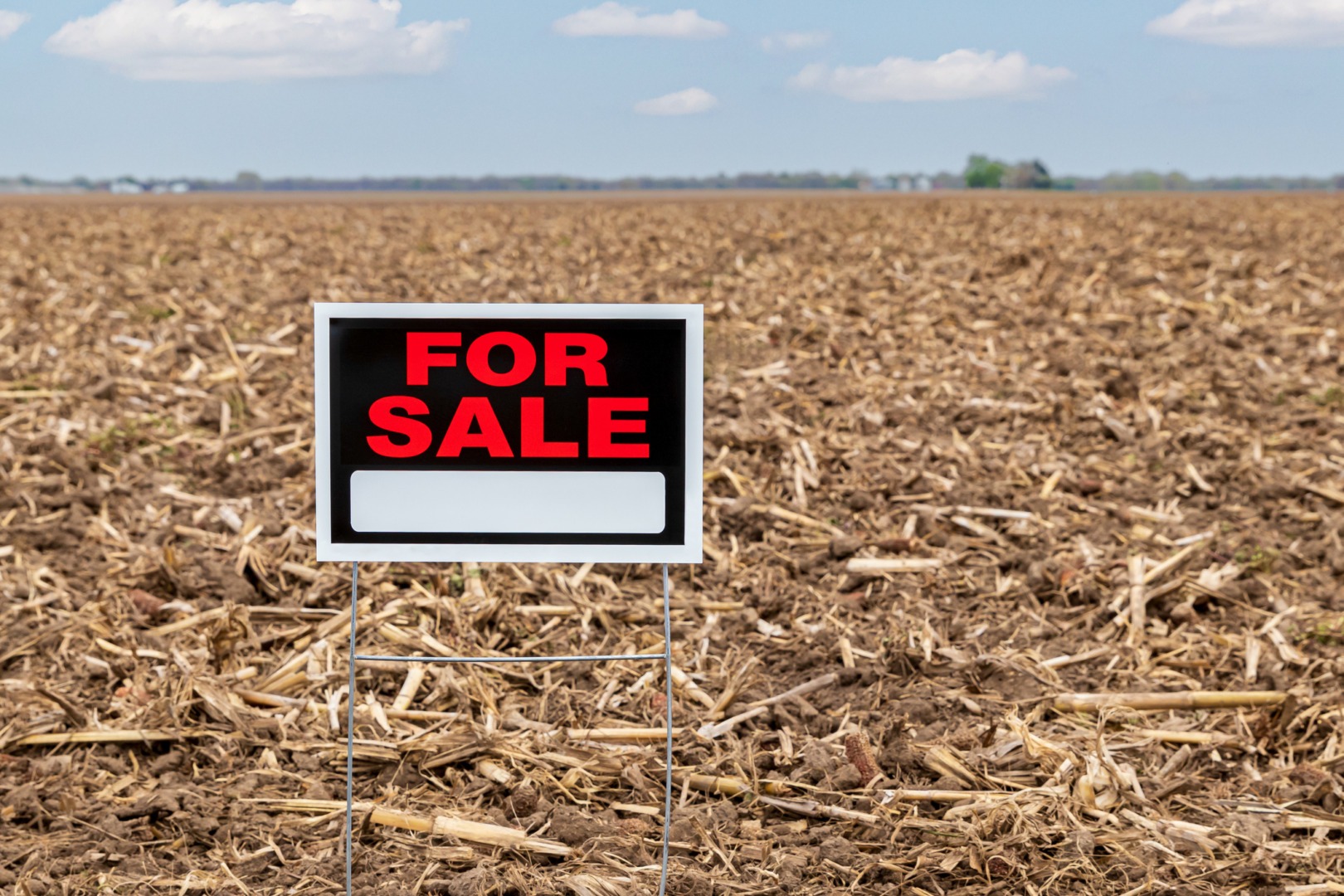 O companie din agribusiness a intrat în faliment