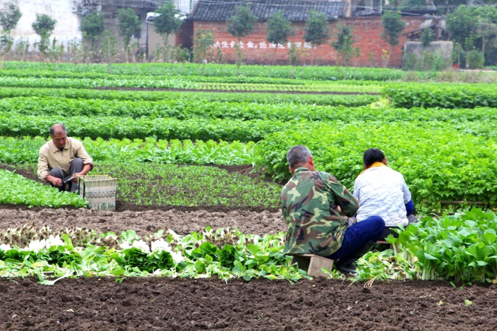 ce sprijin vor primi fermierii