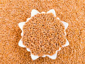 ANSVSA are un laborator de testare aprobat deIndonezia ș va putea exporta grau