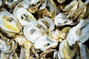 stridii-adaptate-unui-mediu-de-viata-mai-acid-proiect-Franta