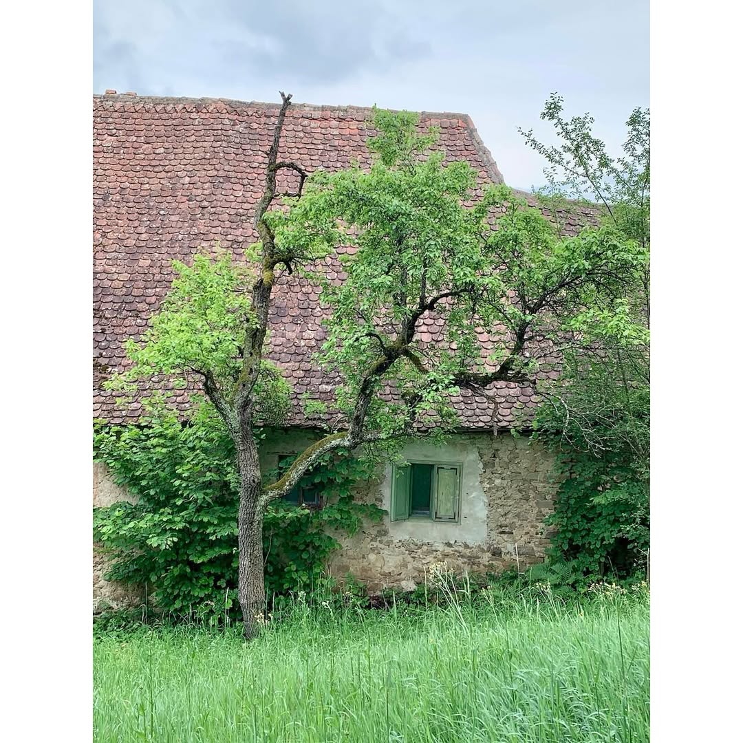 Sursa foto: Instagram Irina Georgescu