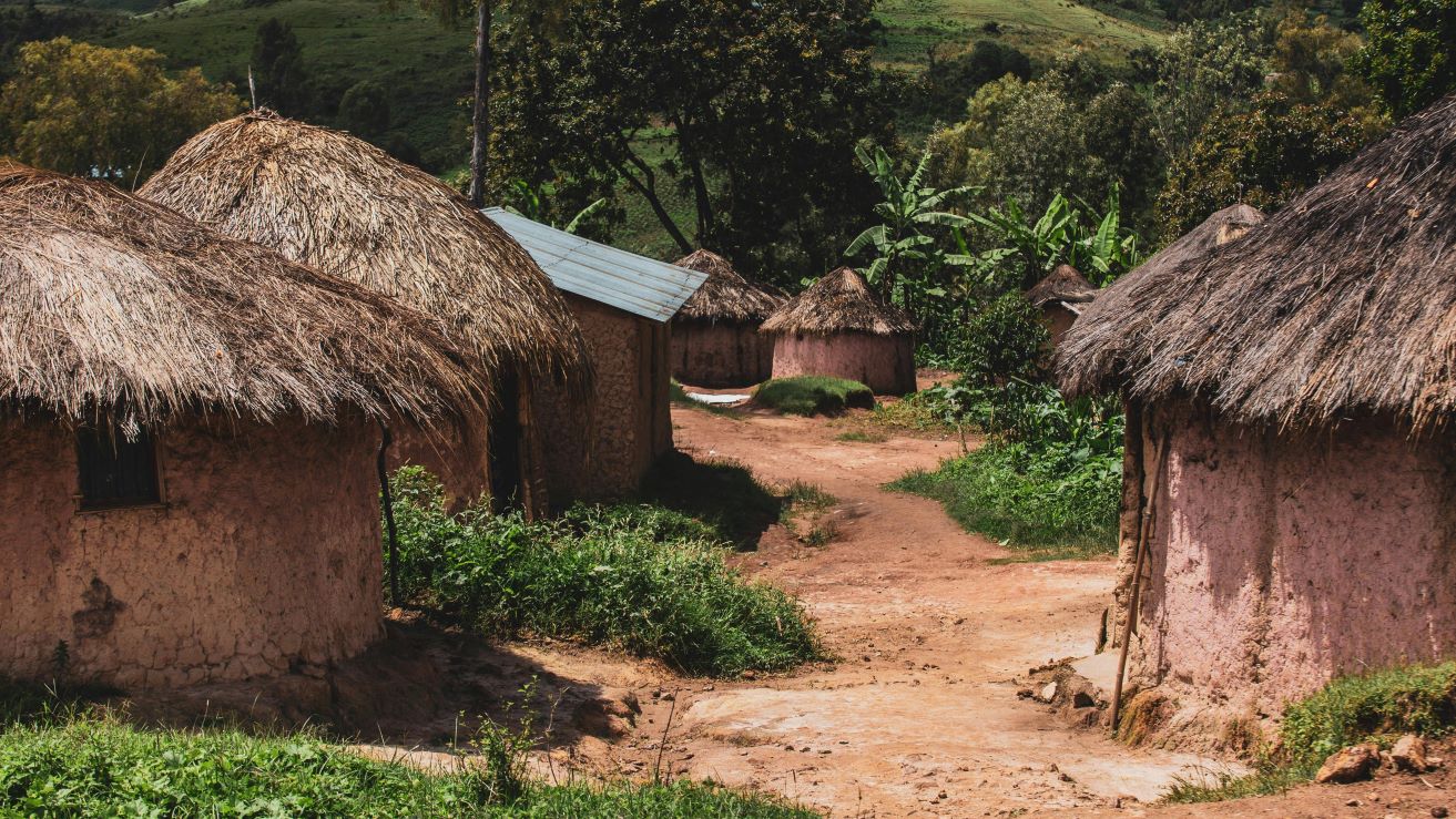 comisia europeana, malnutritie, bani