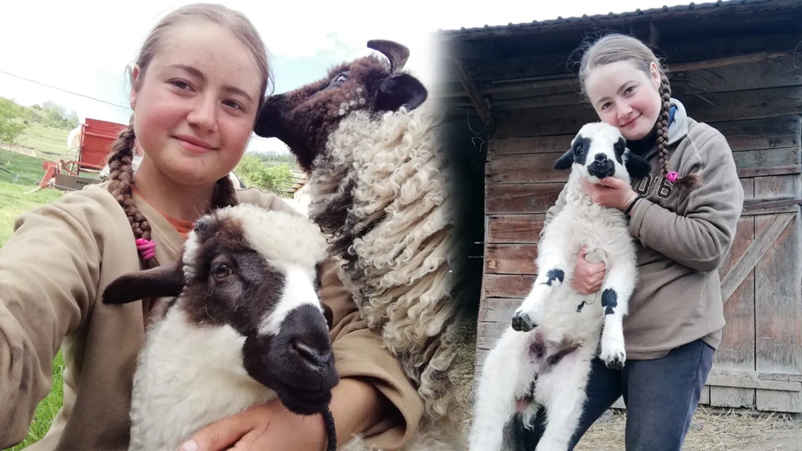 Maria Loredana a ales viața la fermă