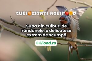 Supă din cuiburi de rândunele, delicatesă extrem de scumpă