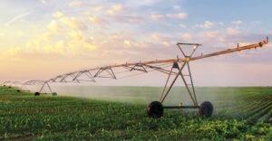 imbunatatiri funciare