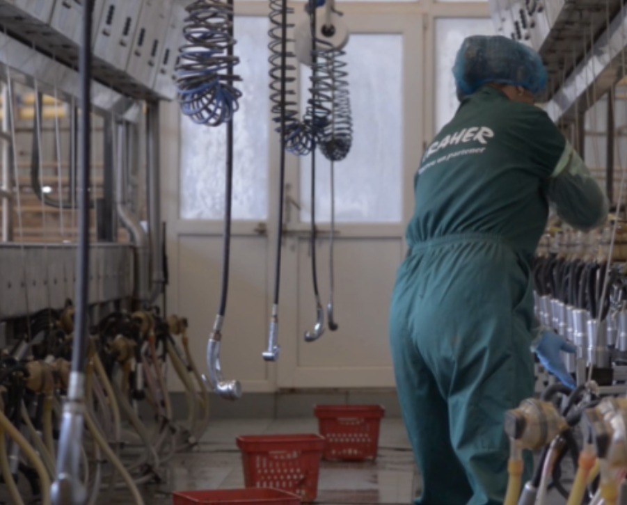 fermier cu valoare adaugata, lapte, brand cunoscut, procesarea laptelui