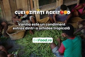 Vanilia este extrasă din păstaia unei orhidee tropicală