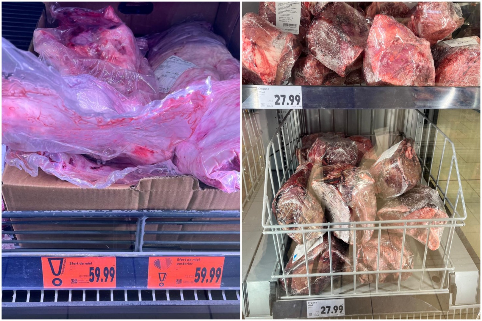 analiză la raft, miel, Paște