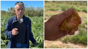 de pe camp in farfurie, platforma digitala