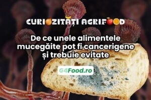 mucegaiul de pe alimentele uscate poate fi cancerigen