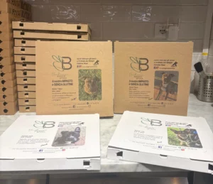 cutii de pizza adoptii caini initiativa Italia
