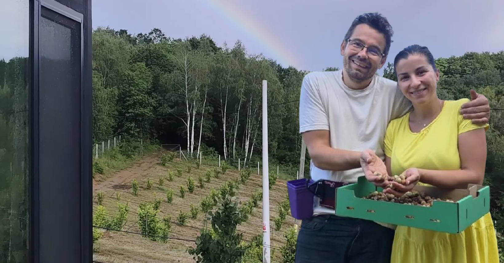 alune de pădure, safala organic farm, candy bar
