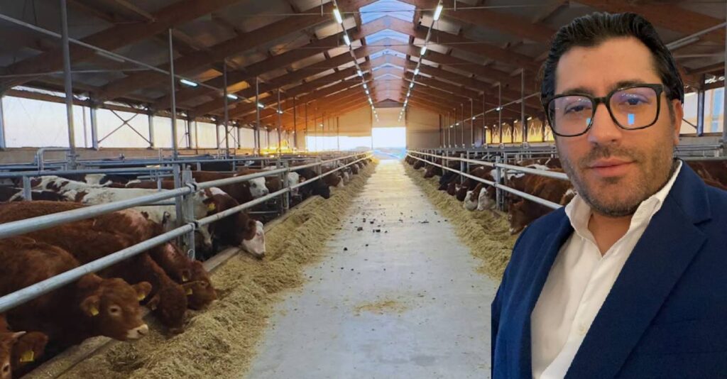 ferma diaz, fermier cu valoare adaugata, carne de vita