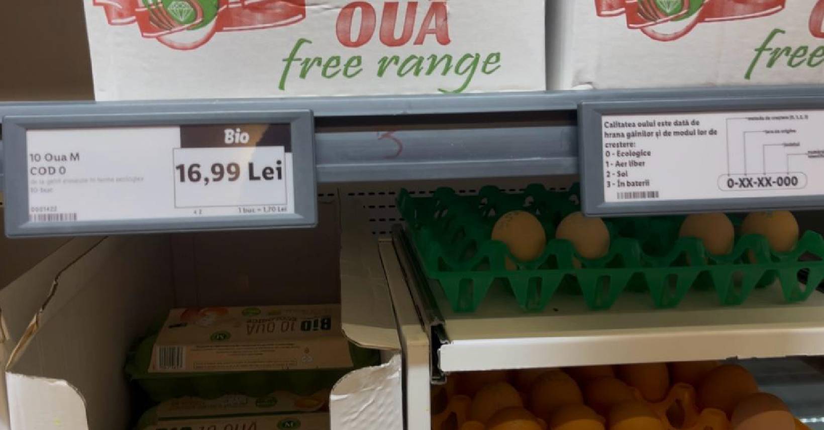 ouă, analiză la raft, Paște