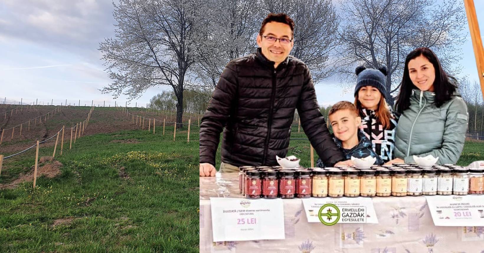 produse organice, alune de pădure, candy bar, safala organic farm
