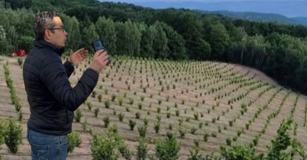 îngheț, culturi, fermieri, producție