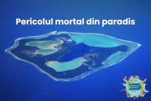 SITE-TN-G4Media-Paul-Drosu-1024x683