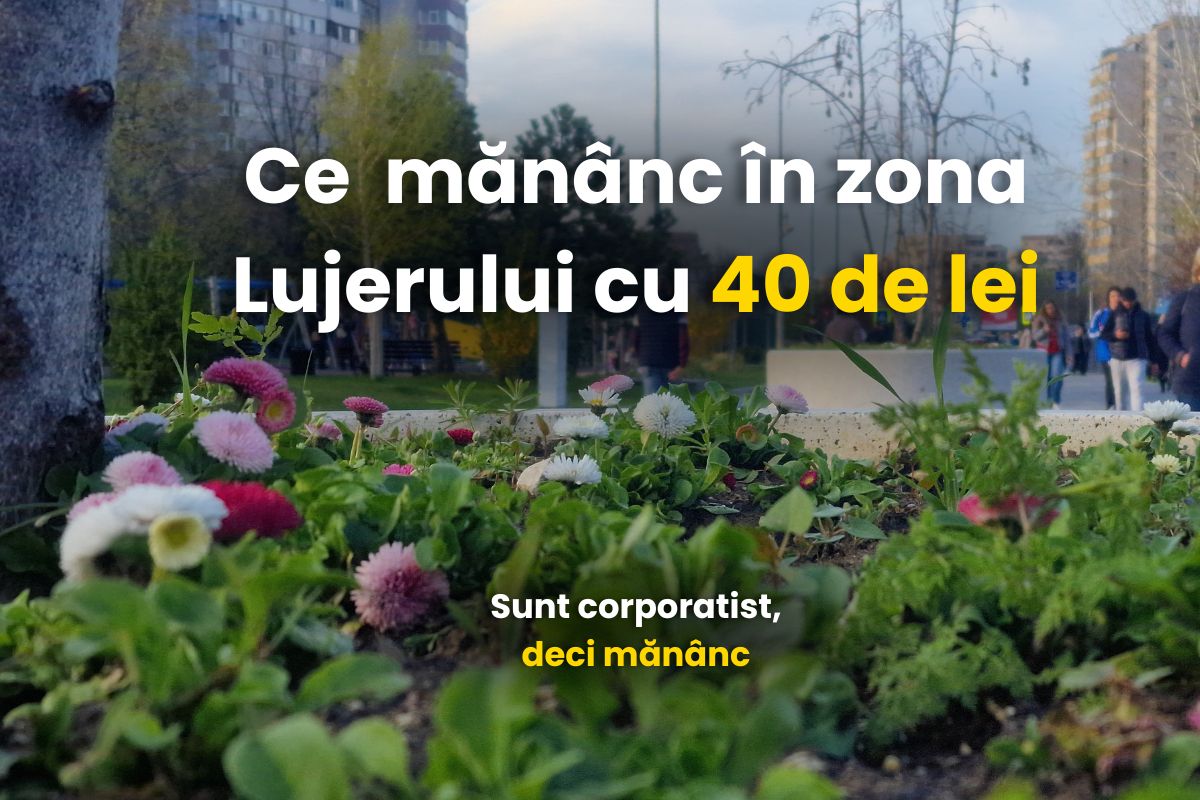 40 de lei, sunt corporatist, zona Lujerului