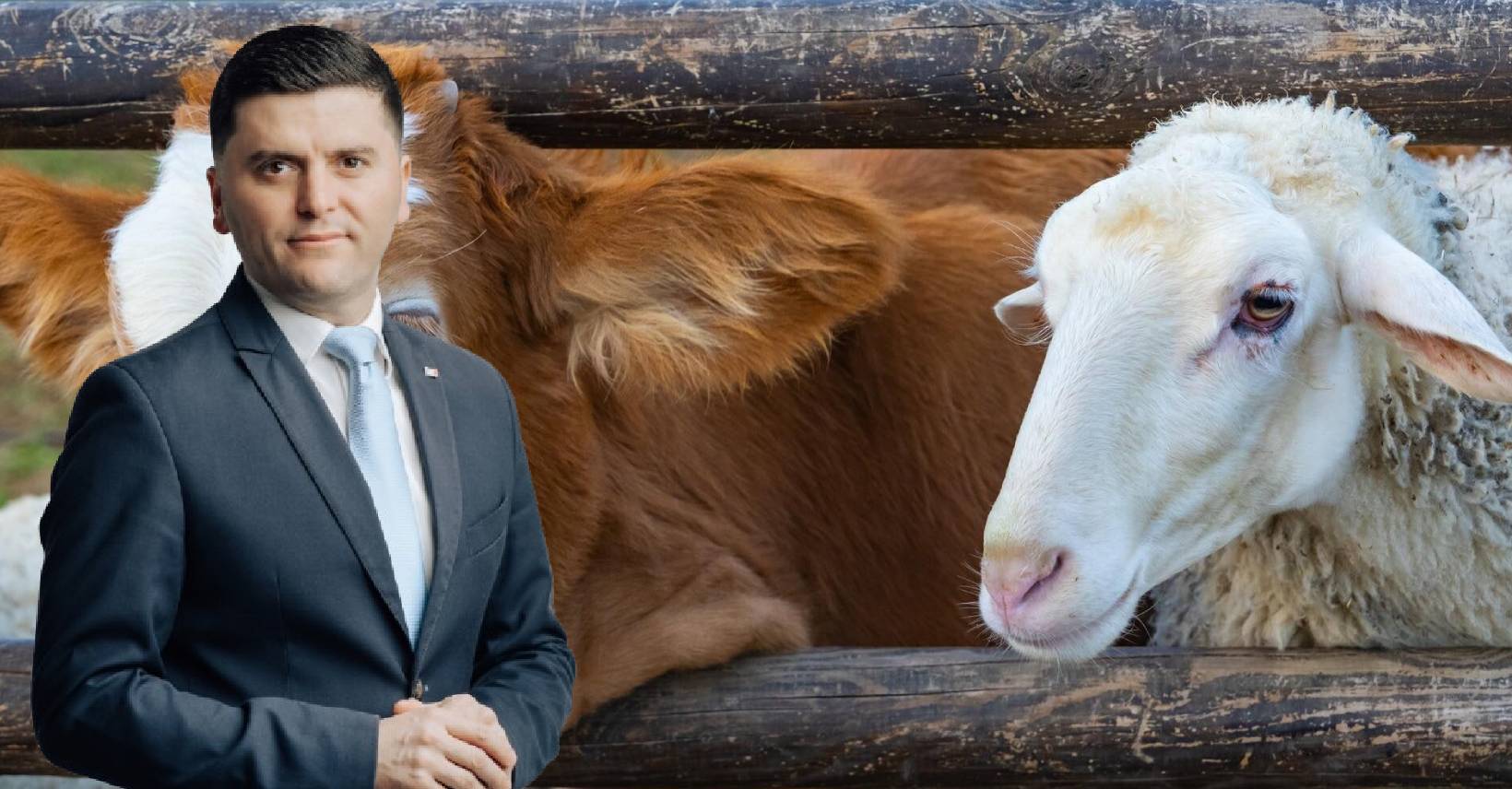 Deputat Adrian Cozma / Colaj foto