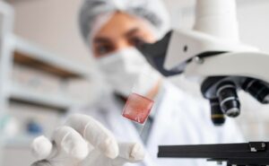 Carnea cultivată, ca sursă de hrană pentru animale