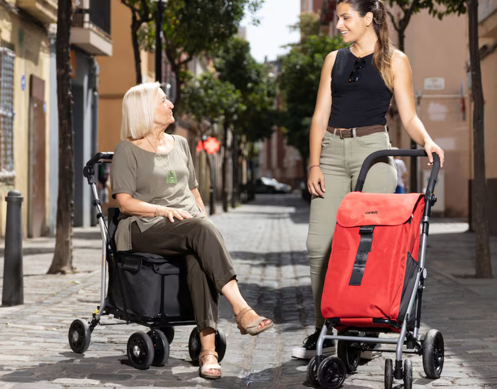 Cărucioarele de cumpărături