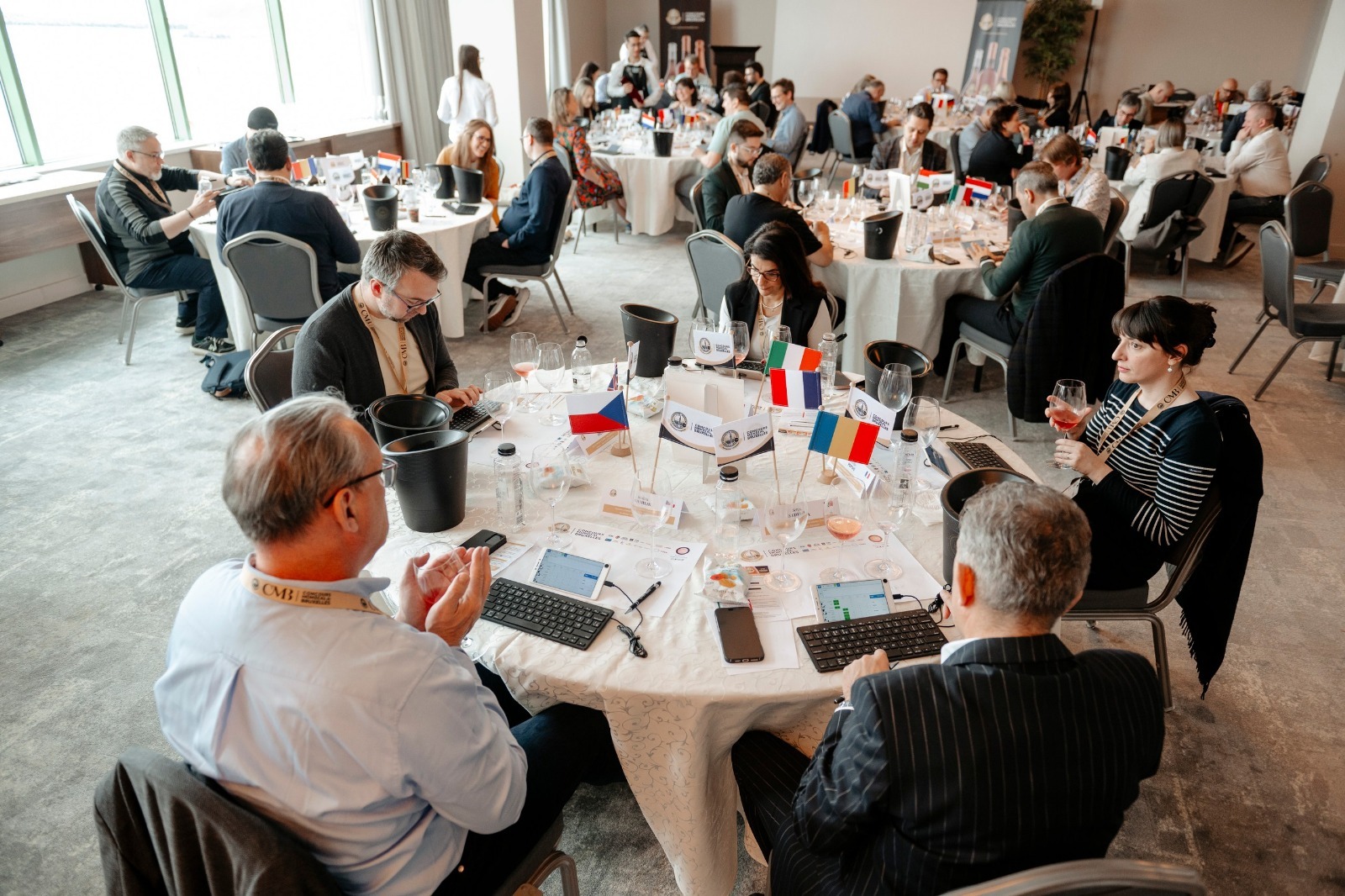 Record de medalii româneşti la cel mai mare concurs de vinuri roze din lume