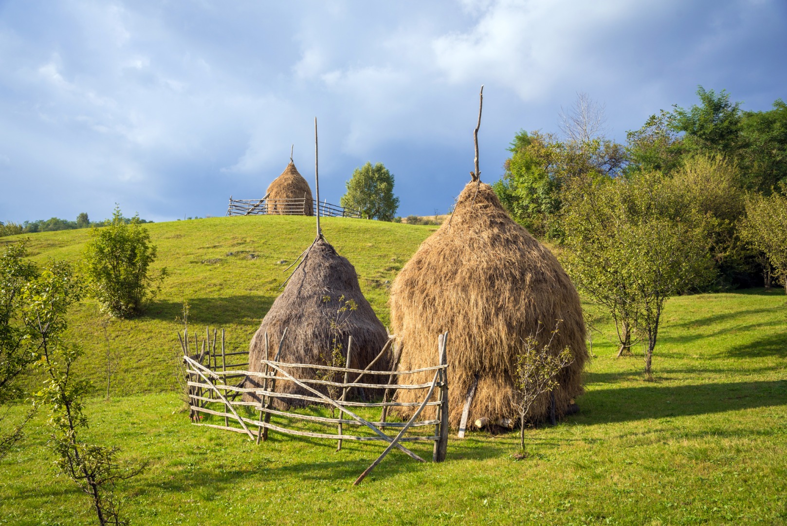 Dispar căpițele de fân din România