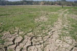 mare parte din europa va fi afectata de seceta in urmatoarele saptamani