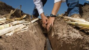 sistem de irigatii prin conducte subterane