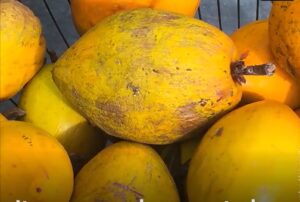 Lucuma, cel mai sănătos îndulcitor natural