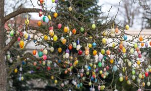 Ouă de Paște decorate și atârnate în copaci, în Germania