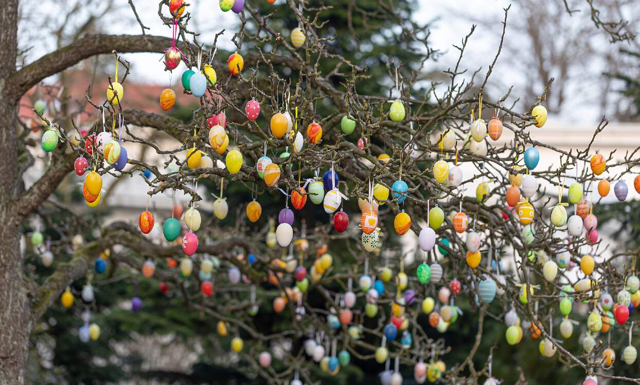 Ouă de Paște decorate și atârnate în copaci, în Germania