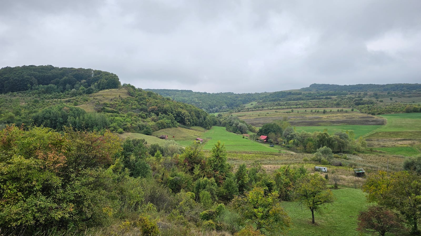 pajiști Sibiu întretinerea ecosistemelor montane Demonstratorul regional Râu Sadului MountResilience