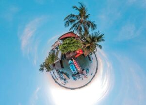 Ziua Pământului la BBC Earth