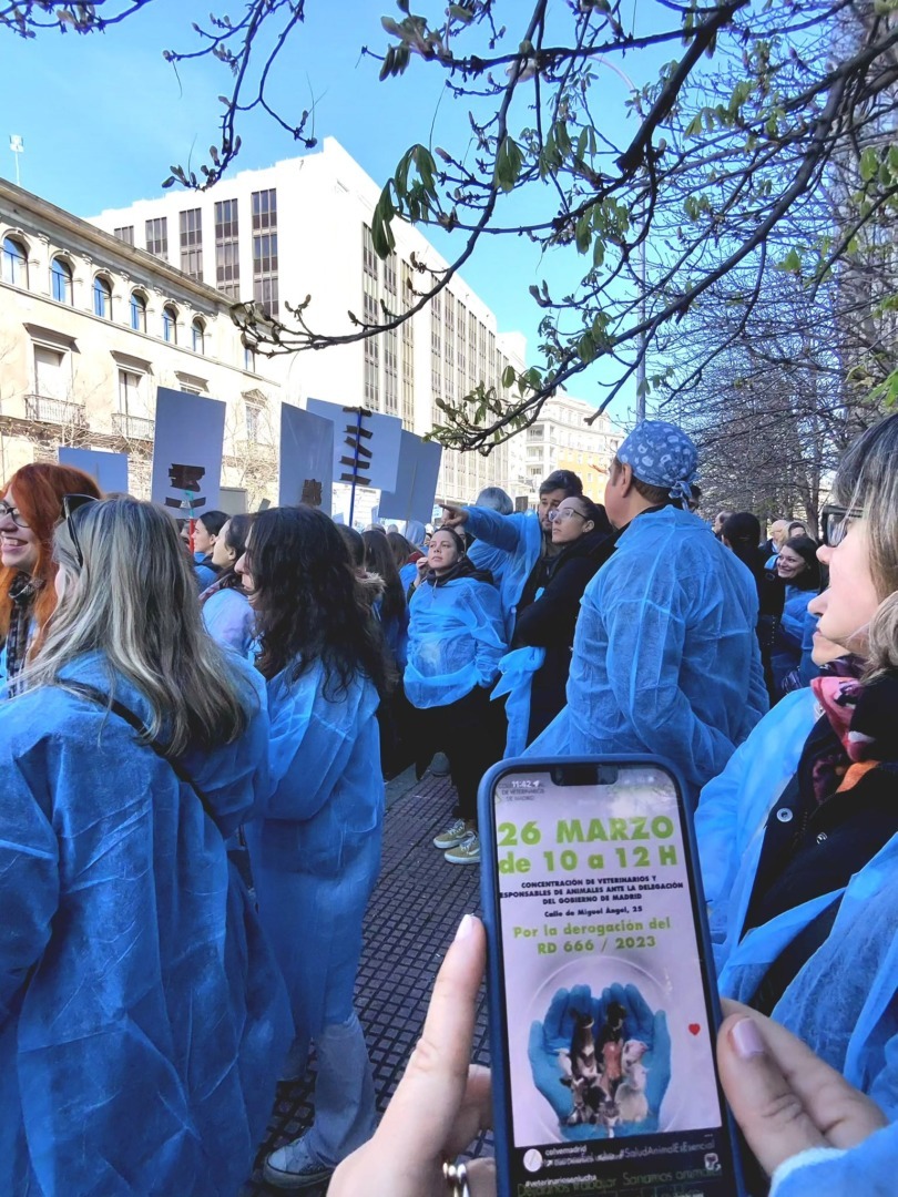 Sursa foto: X Colegio Oficial de Veterinarios de Madrid