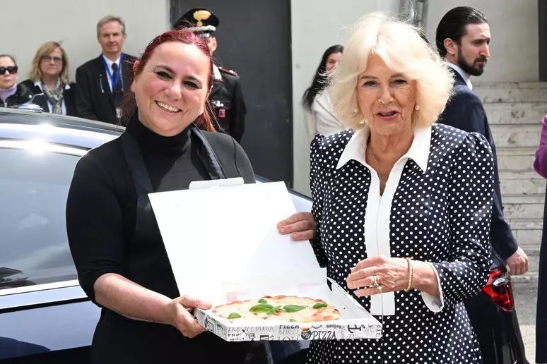 Sursa foto: https://ansabrasil.com.br/