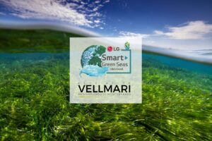 proiectul smart green capitolul legat de mare, în Spania