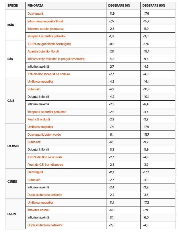 Sursa foto: Facebook