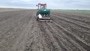 usturoi, buzau, burlacu